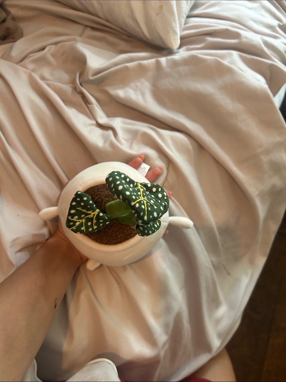 Cute Plush Plant Pot Toy - Cream & Green - Picture 2 of 3